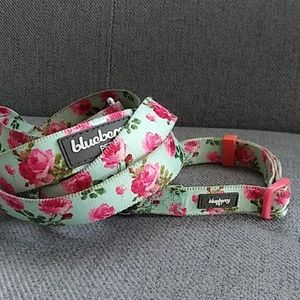 Dog Collar and Leash by Blueberry Pet